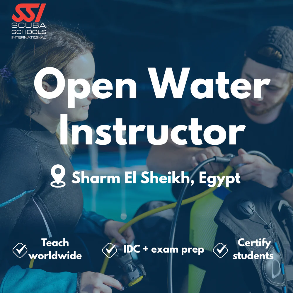 SSI Instructor / IDC course in Sharm El Sheikh