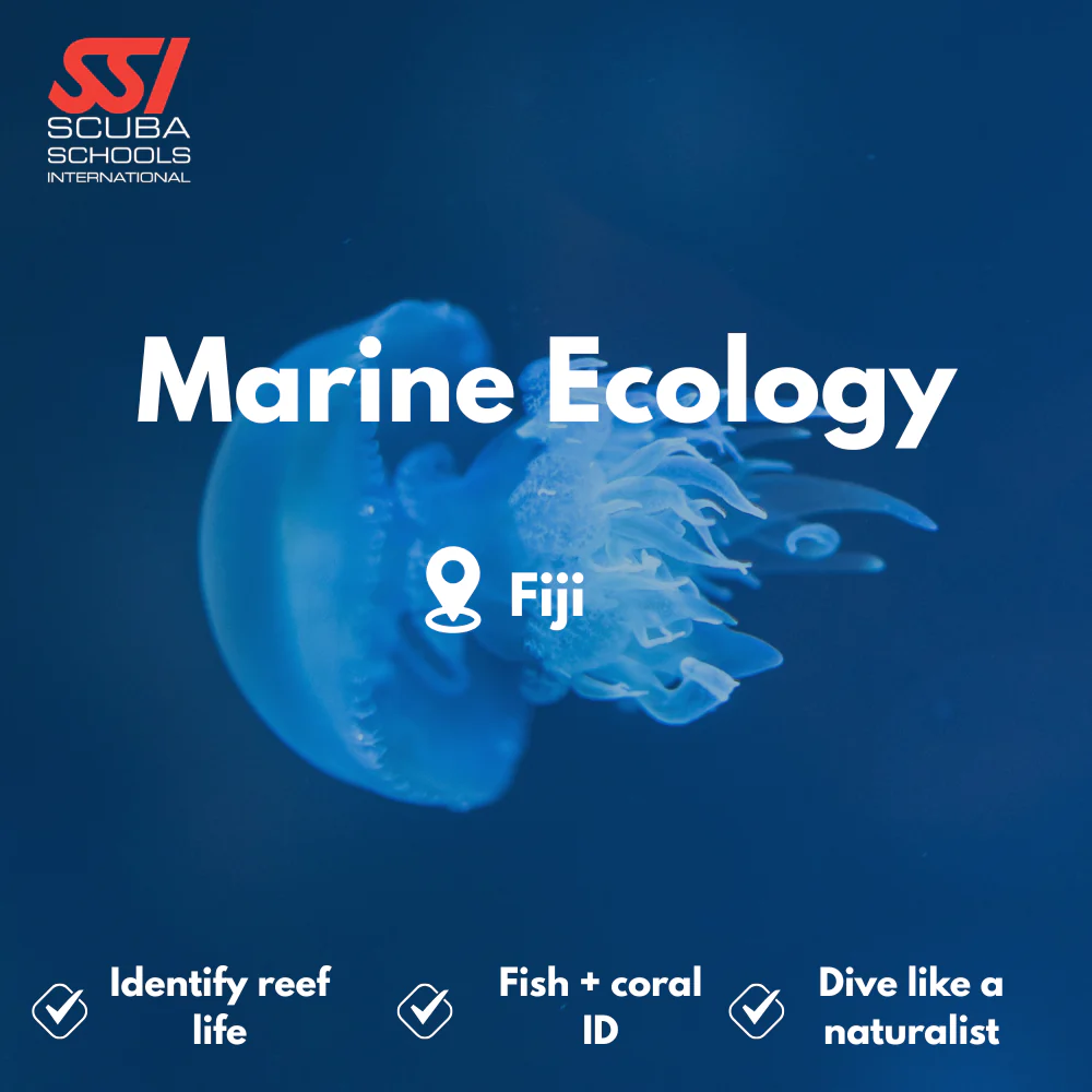 SSI Marine Ecology & Fish ID course in Fiji