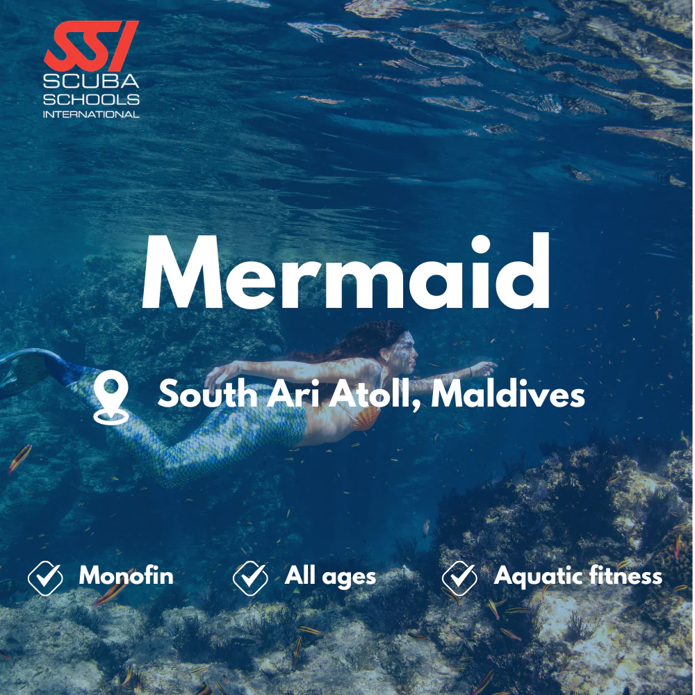 SSI Mermaid course in South Ari Atoll