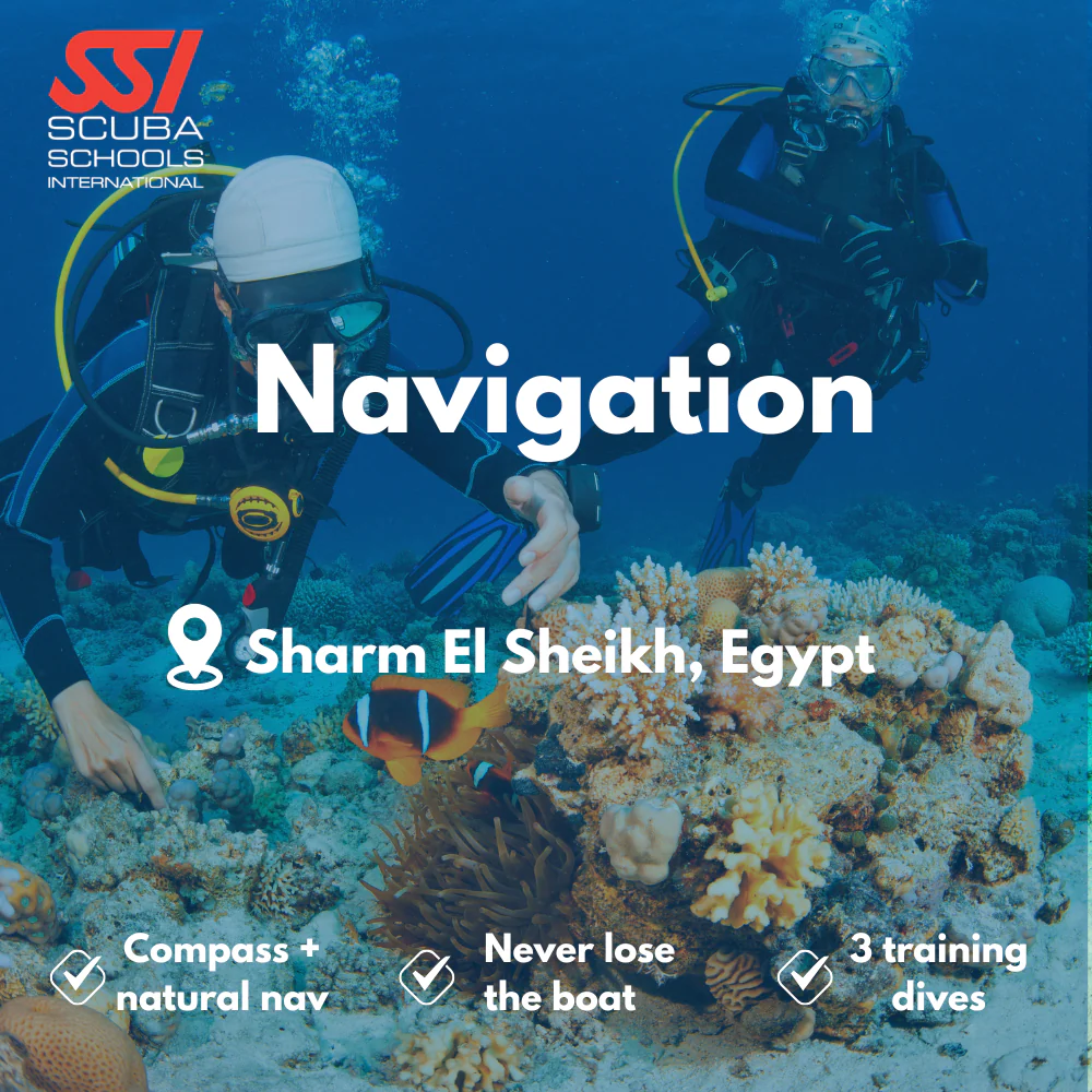 SSI Underwater Navigation course in Sharm El Sheikh