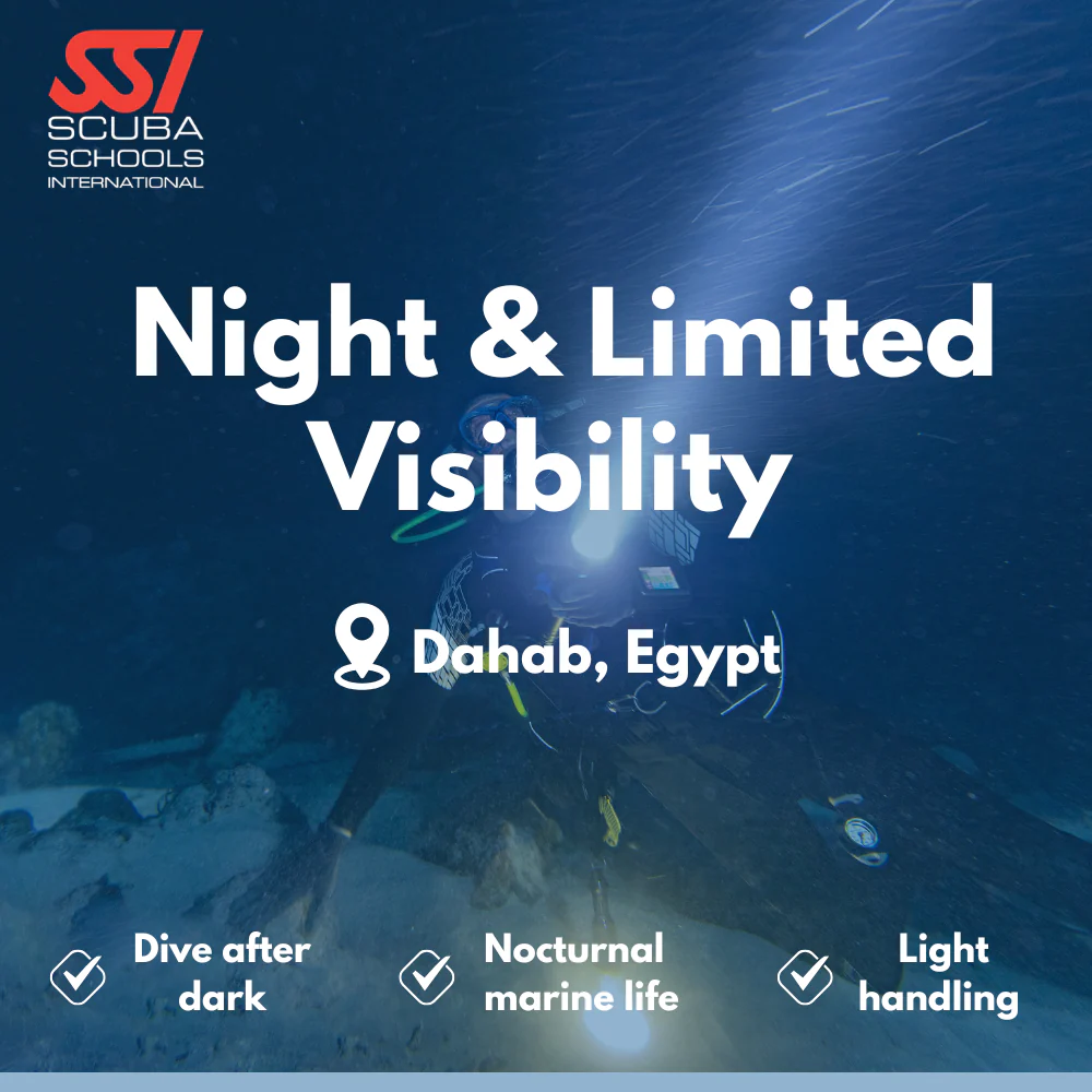 SSI Night Diver course in Dahab