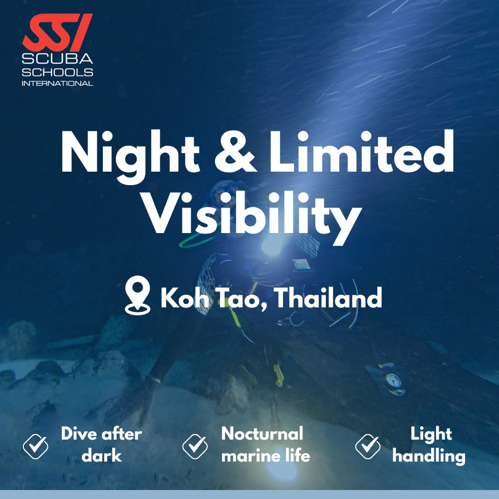SSI Night Diver course in Koh Tao