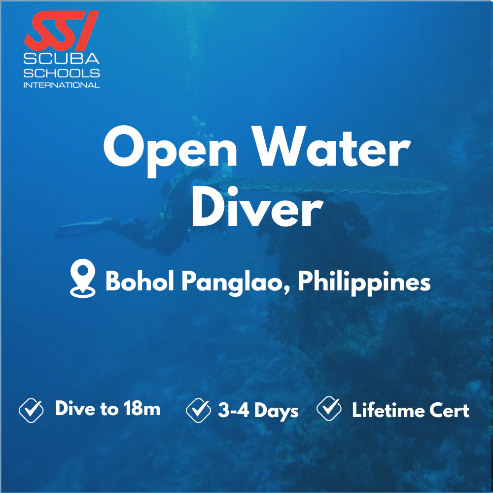 SSI Open Water Diver course in Bohol Panglao