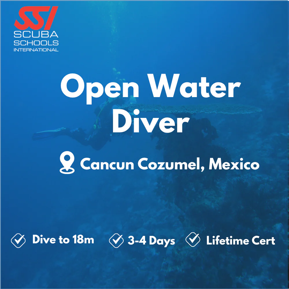 SSI Open Water Diver course in Cancun Cozumel