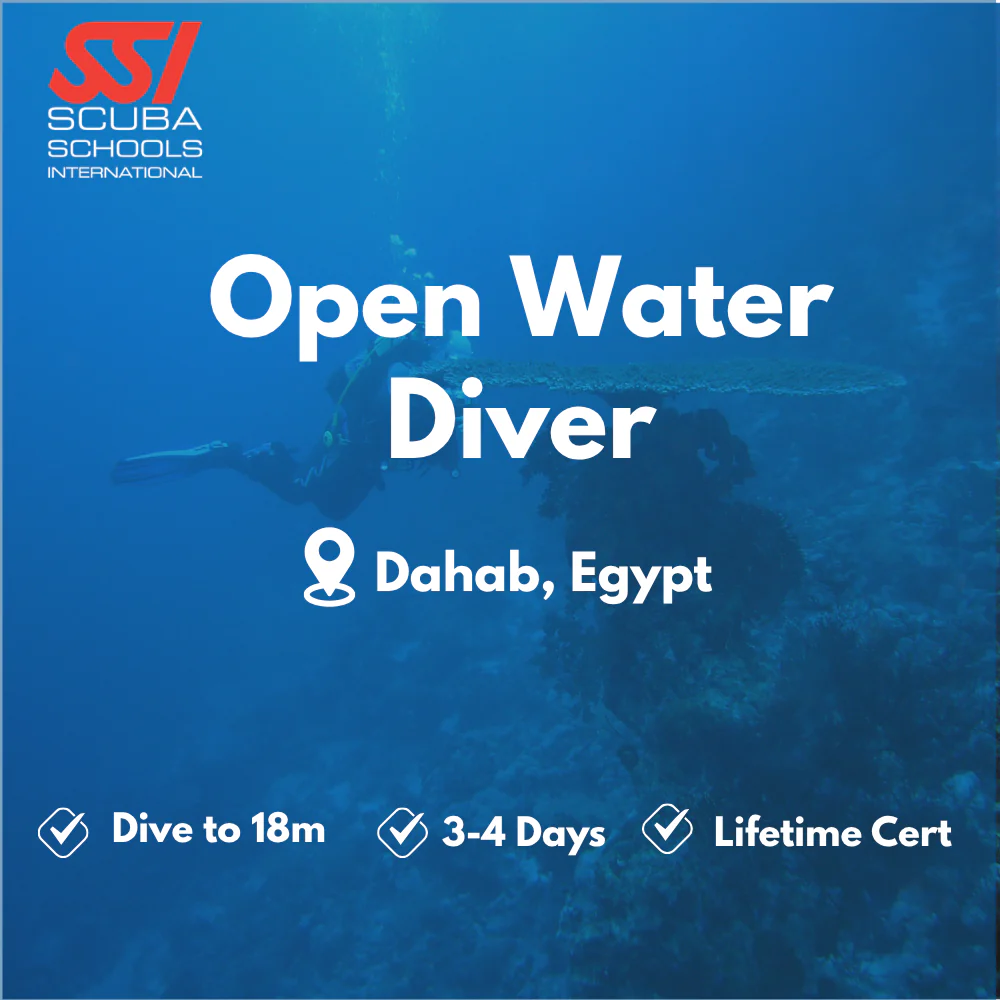SSI Open Water Diver course in Dahab