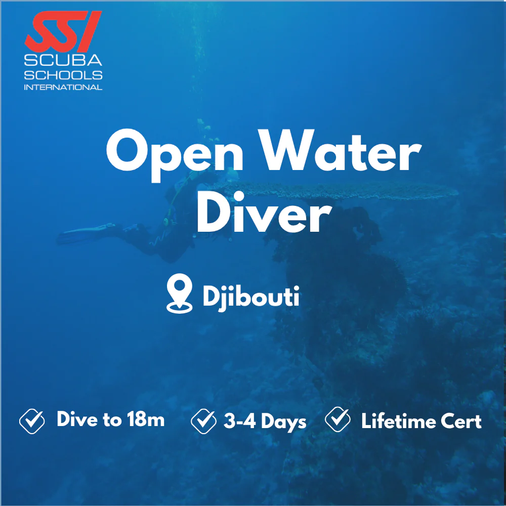 SSI Open Water Diver course in Djibouti