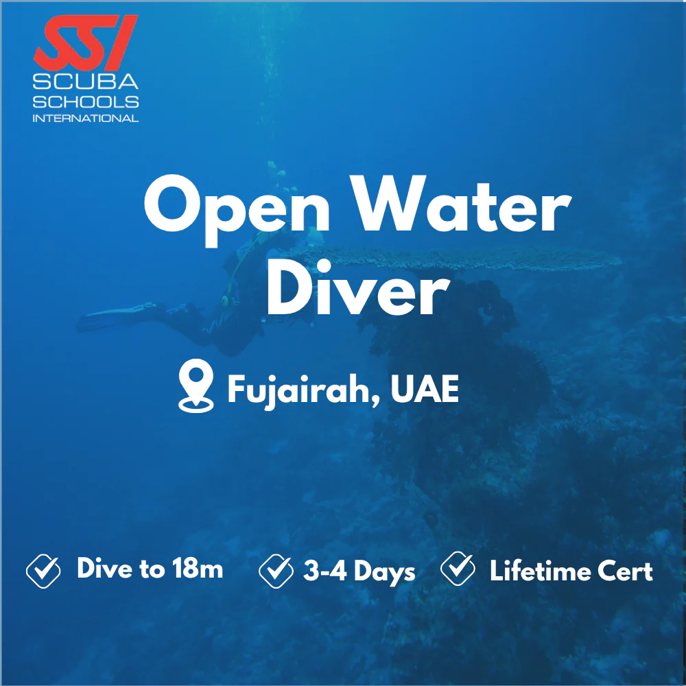 SSI Open Water Diver course in Fujairah