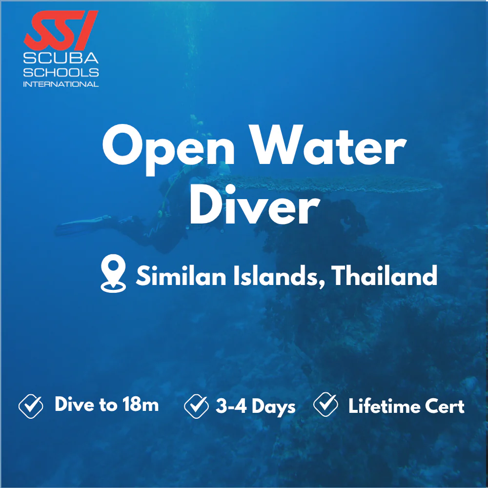 SSI Open Water Diver course in Similan Islands