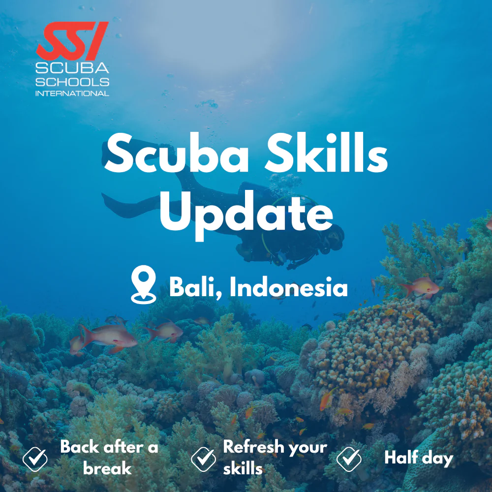 SSI Refresher / ReActivate course in Bali