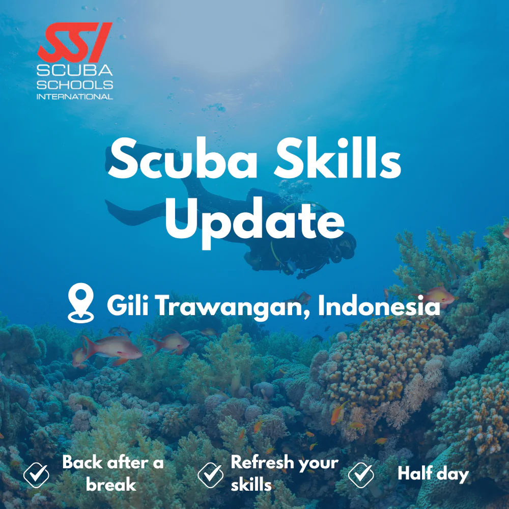SSI Refresher / ReActivate course in Gili Trawangan