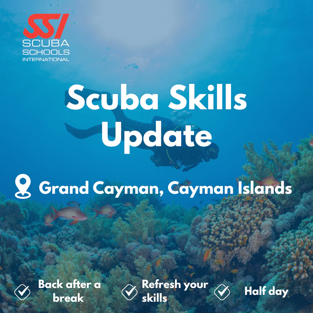SSI Refresher / ReActivate course in Grand Cayman