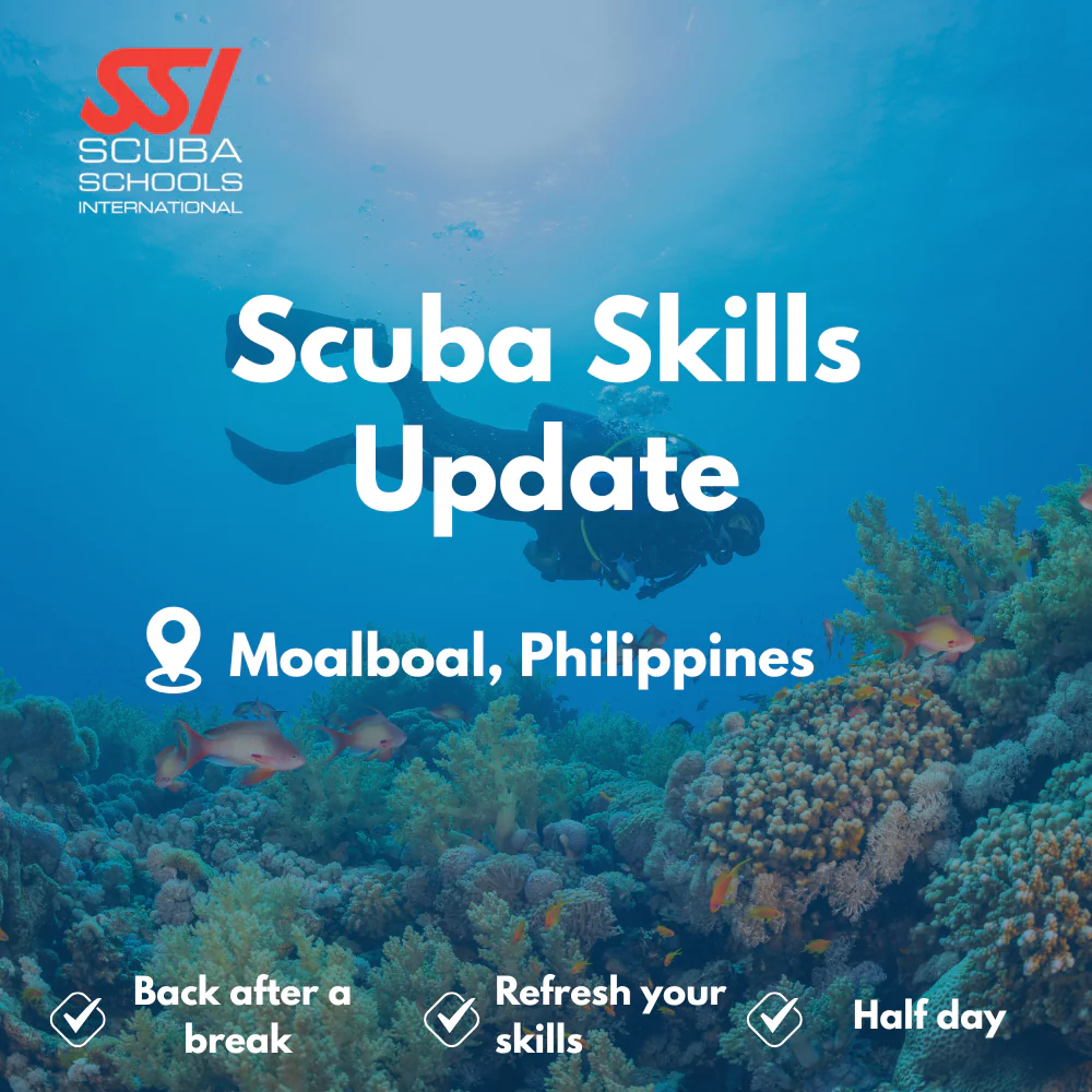 SSI Refresher / ReActivate course in Moalboal