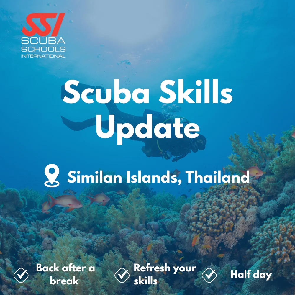 SSI Refresher / ReActivate course in Similan Islands