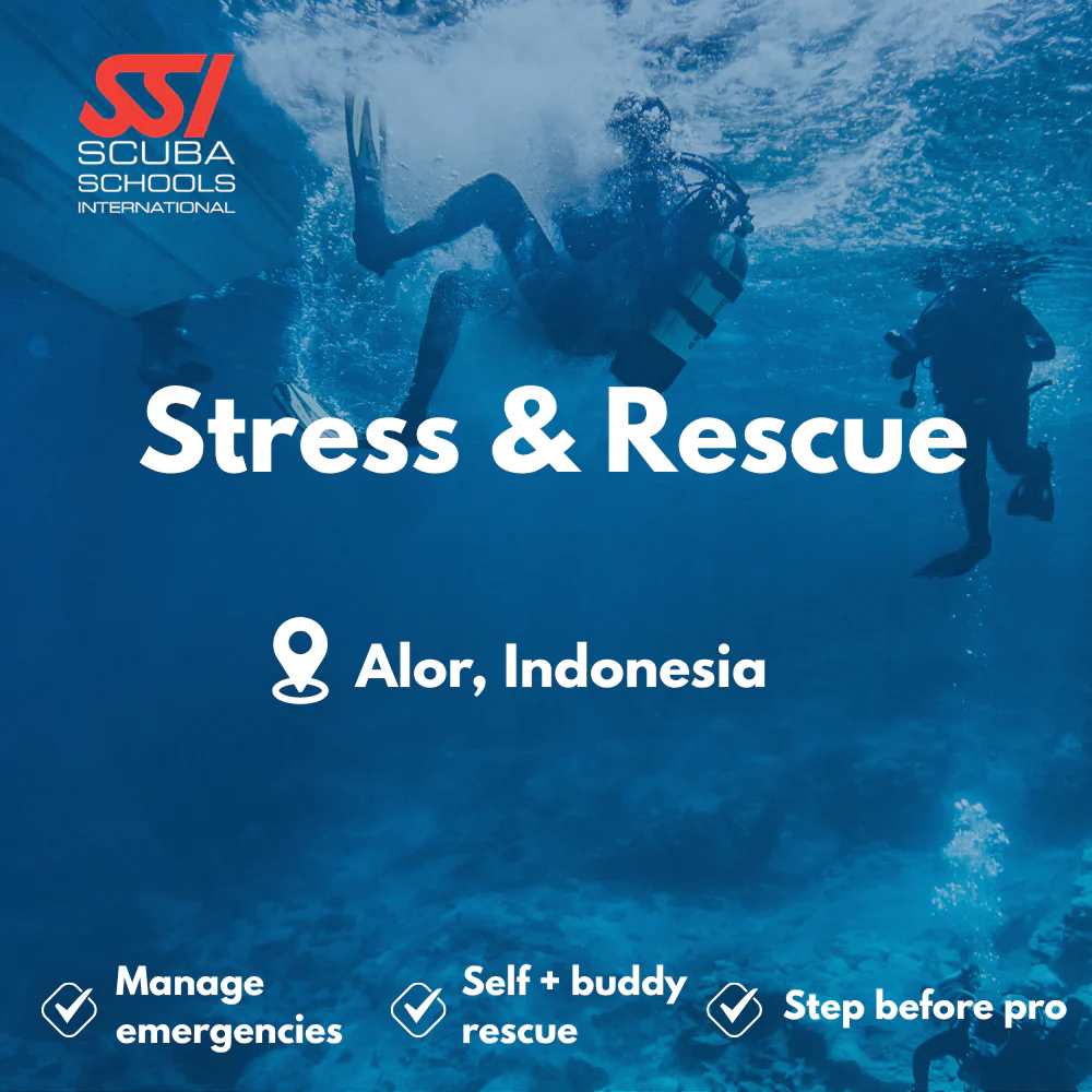 SSI Rescue Diver course in Alor