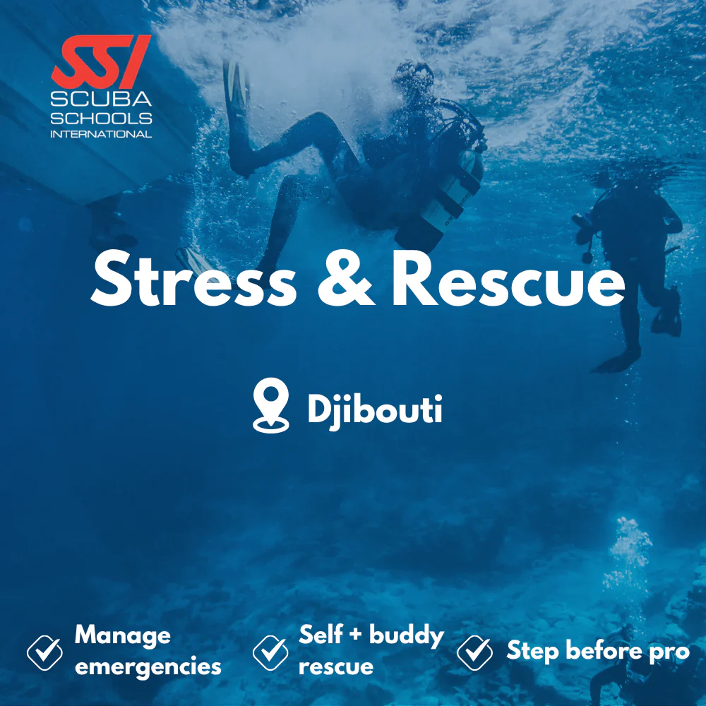 SSI Rescue Diver course in Djibouti
