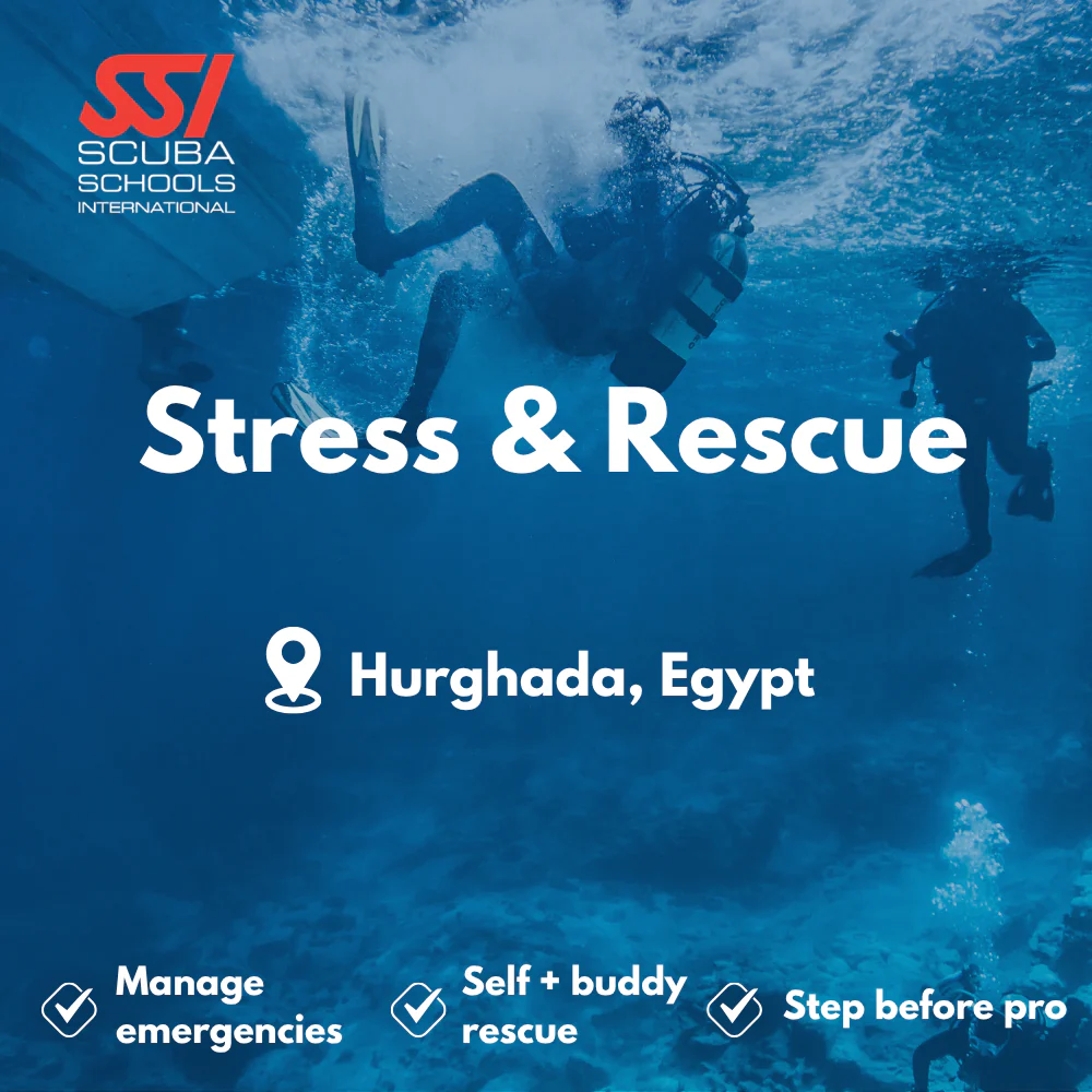 SSI Rescue Diver course in Hurghada