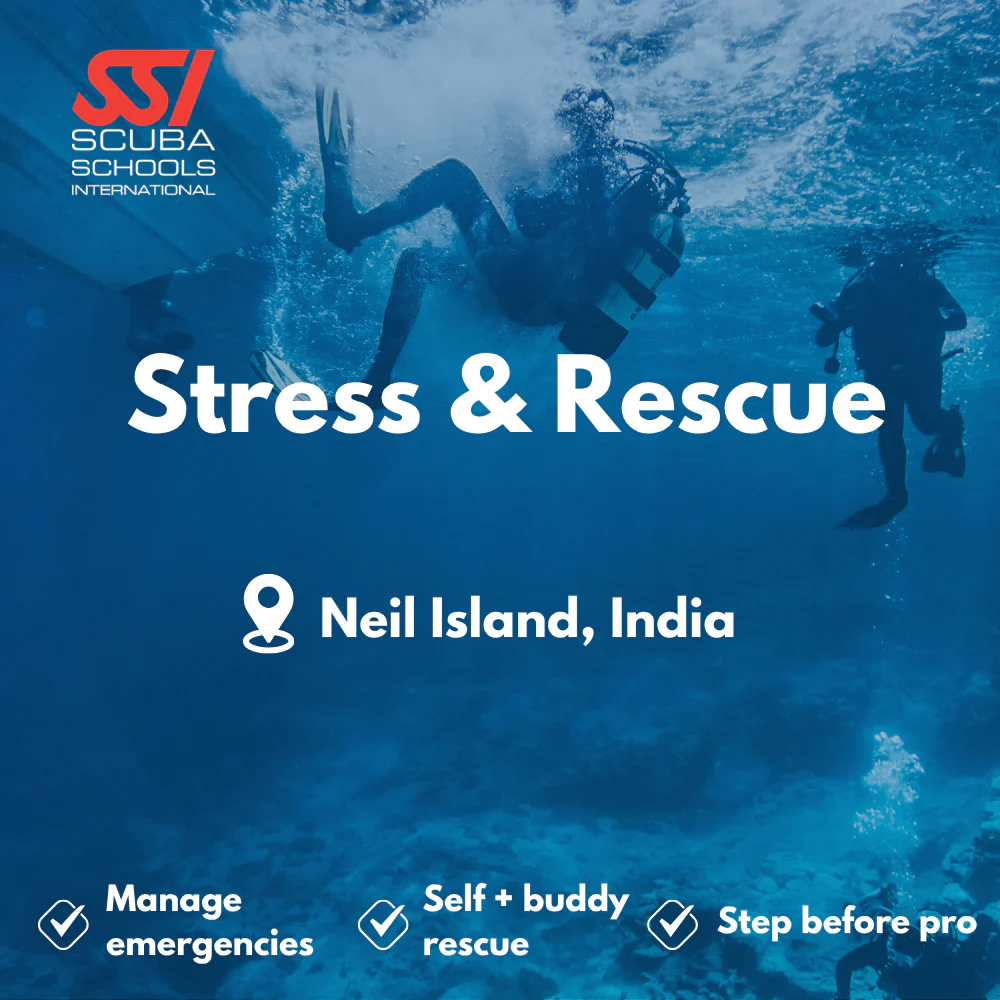 SSI Rescue Diver course in Neil Island