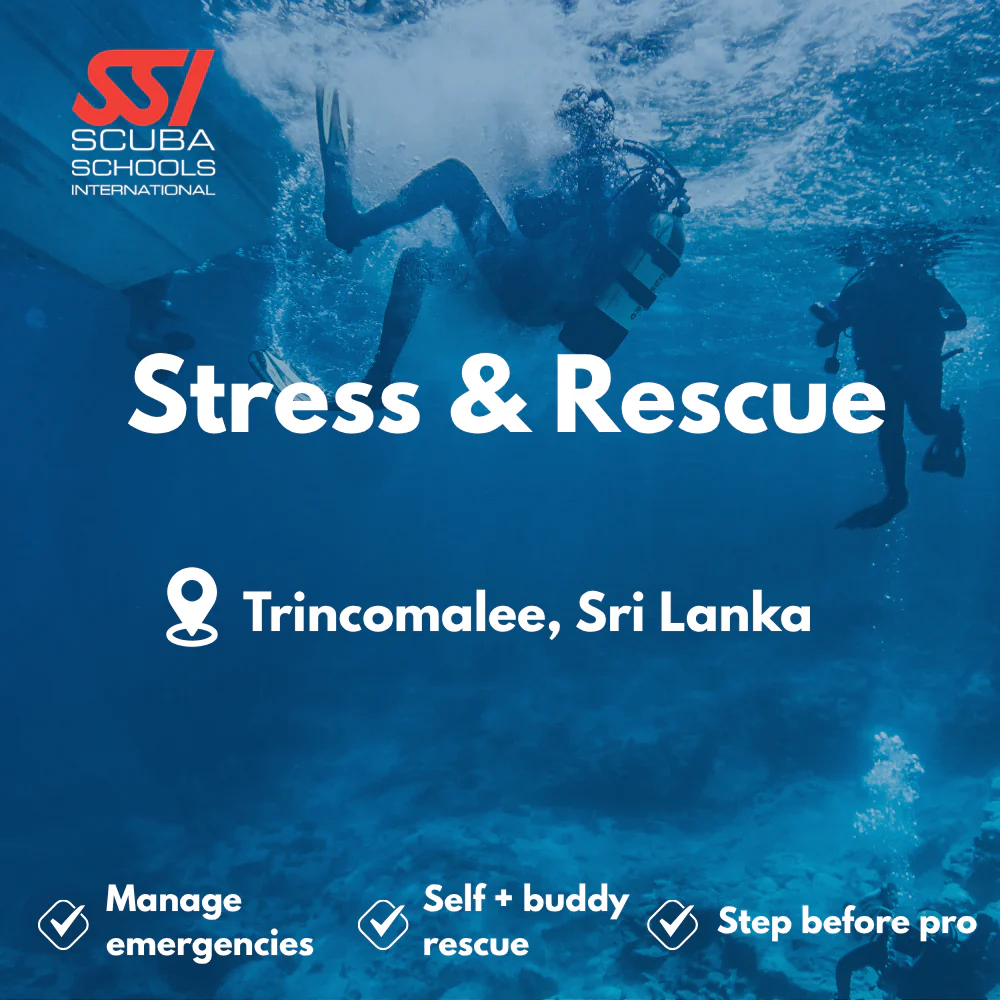 SSI Rescue Diver course in Trincomalee