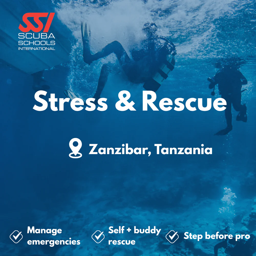 SSI Rescue Diver course in Zanzibar