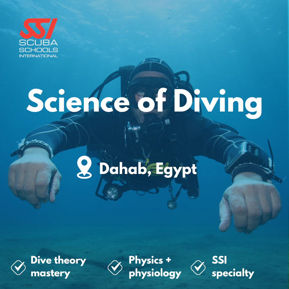 SSI Science of Diving course in Dahab