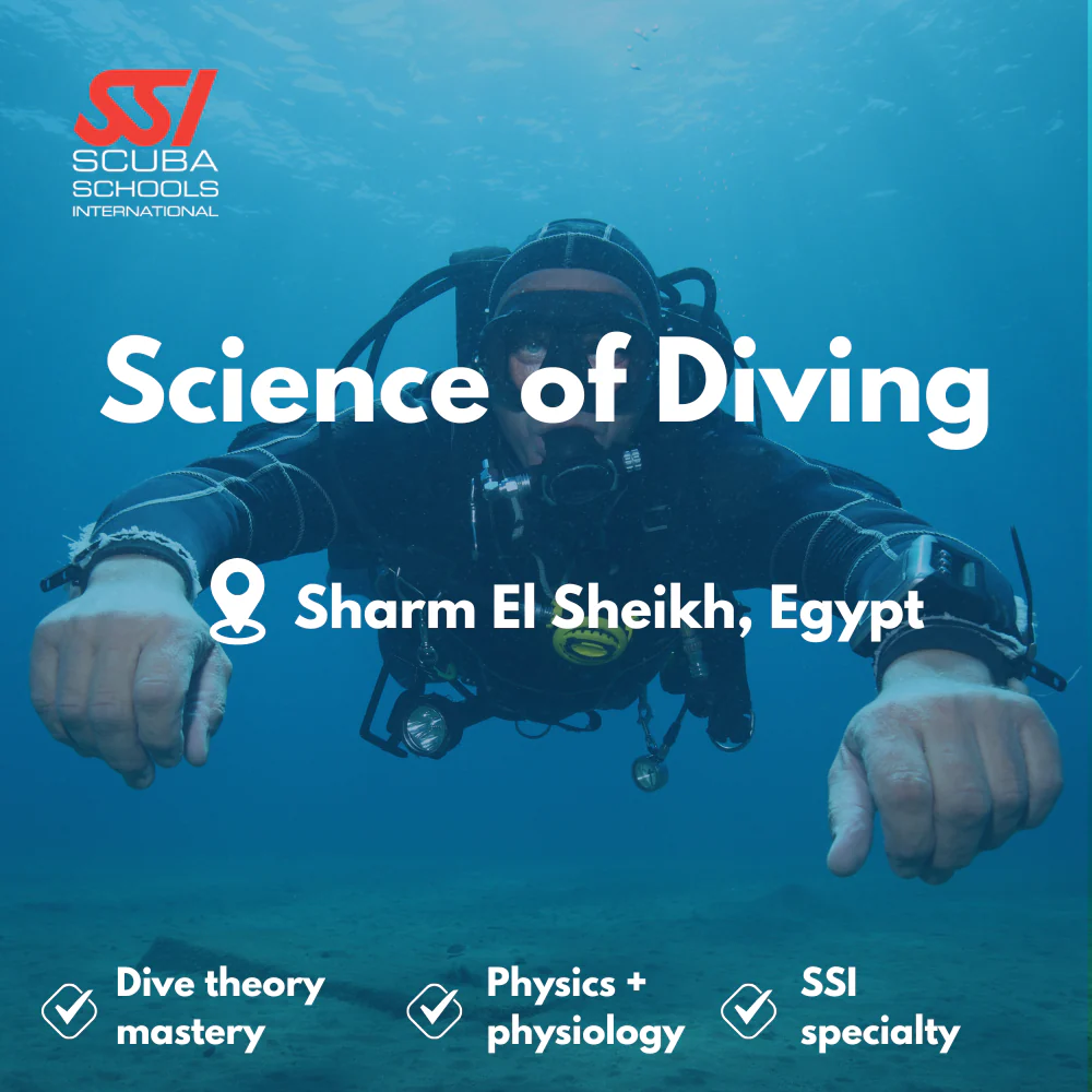 SSI Science of Diving course in Sharm El Sheikh