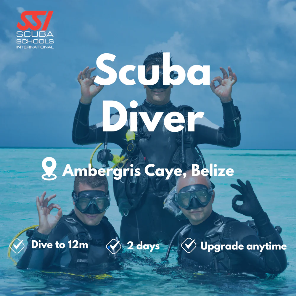 SSI Scuba Diver course in Ambergris Caye