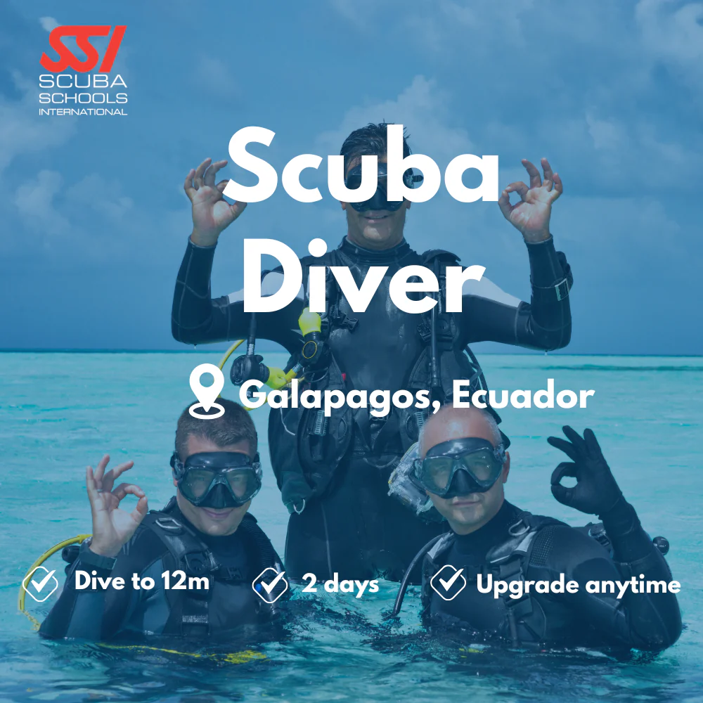 SSI Scuba Diver course in Galapagos