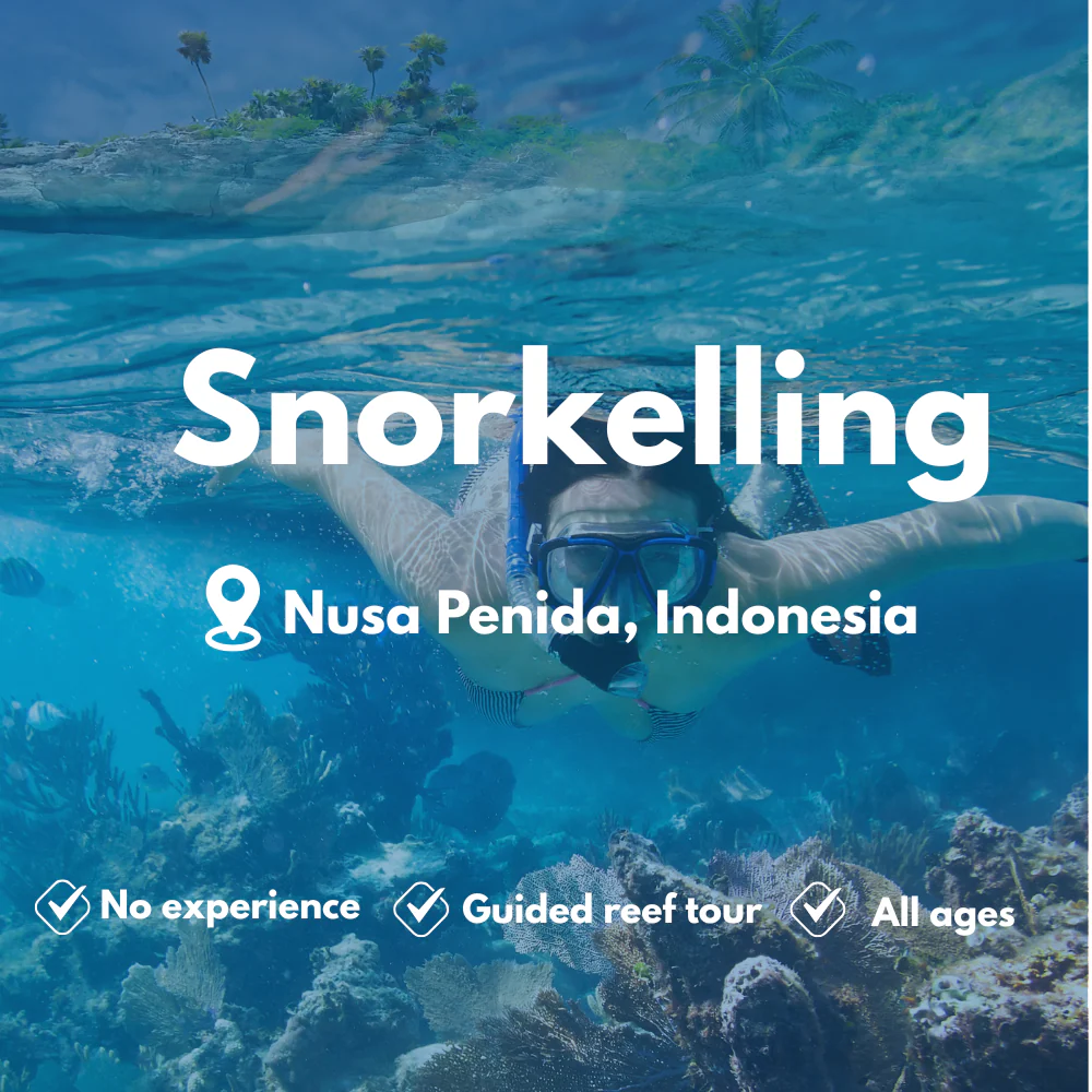 SSI Snorkelling course in Nusa Penida