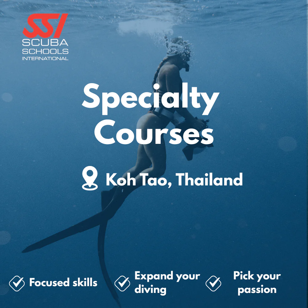 SSI Specialty Courses course in Koh Tao
