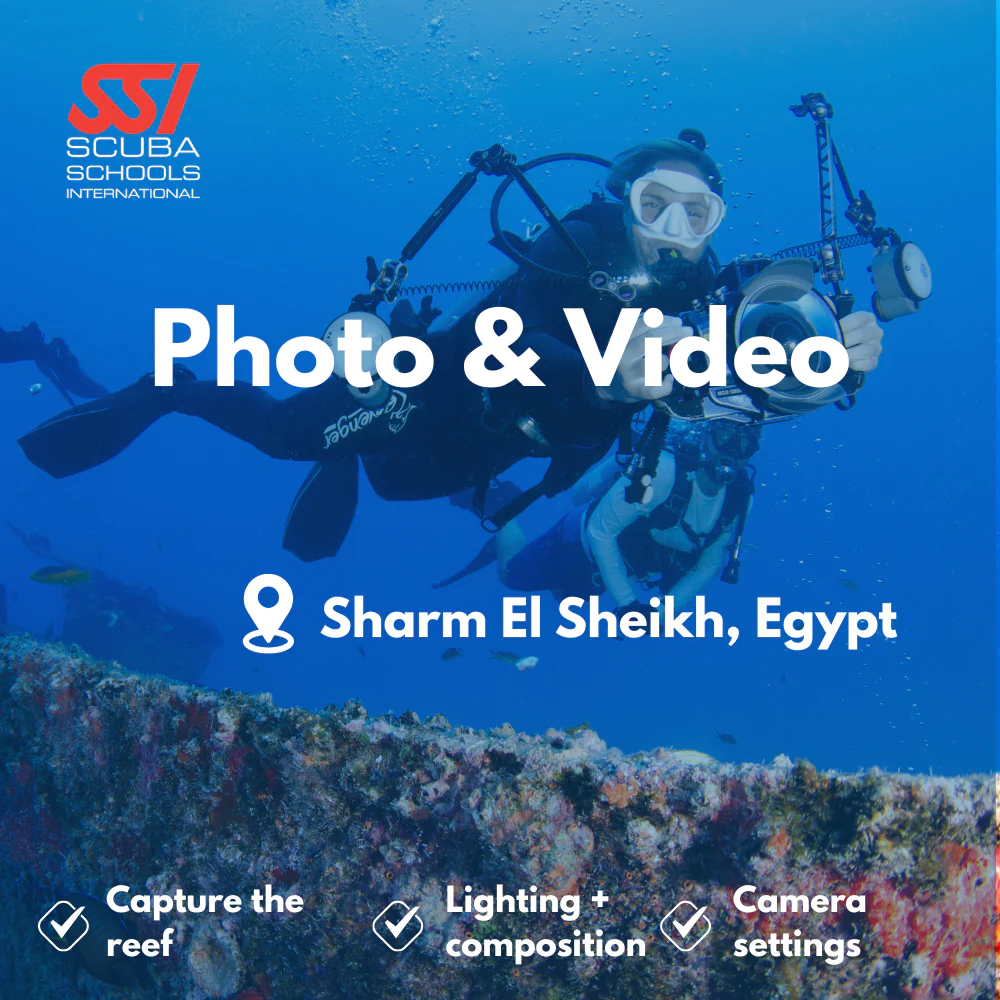 SSI Underwater Photography course in Sharm El Sheikh