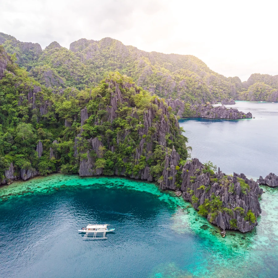 Coron, Cuttlefish diving