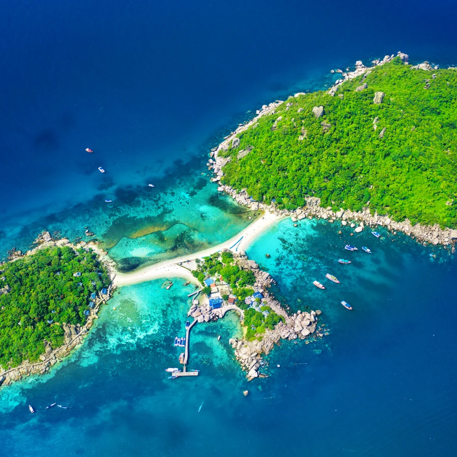 Koh Tao, Cuttlefish diving