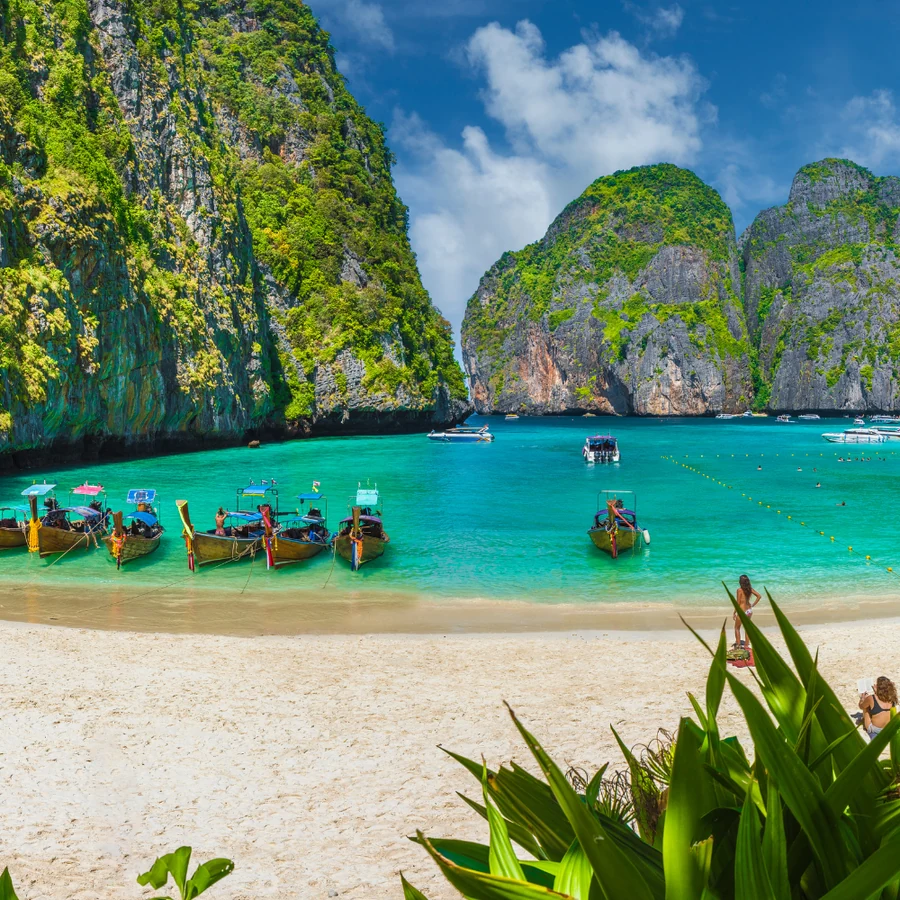 Krabi, Cuttlefish diving