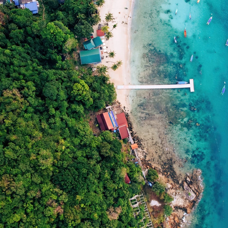 Perhentian, Cuttlefish diving