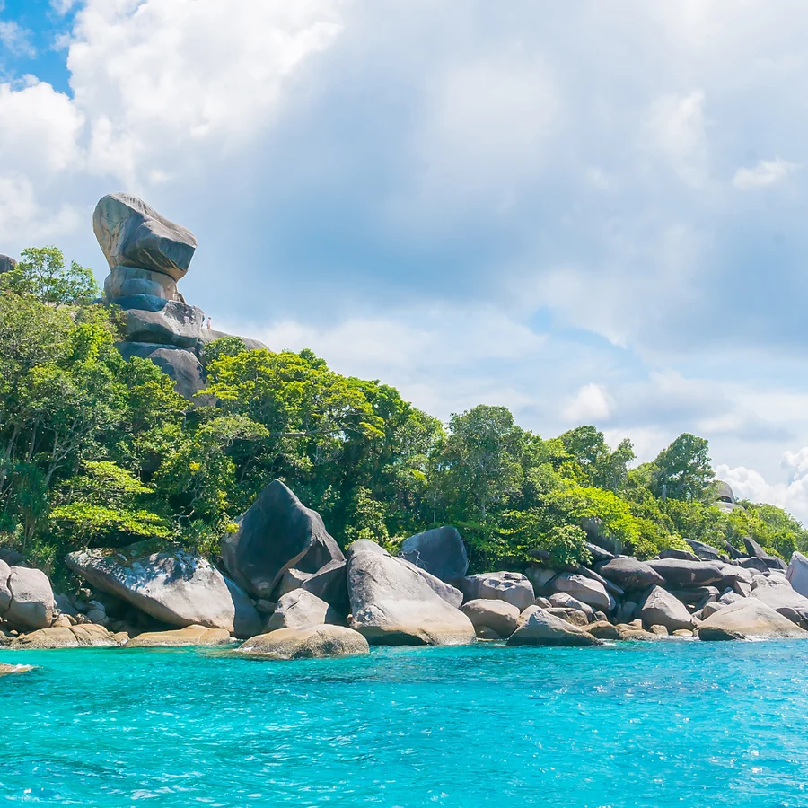 Phuket, Cuttlefish diving