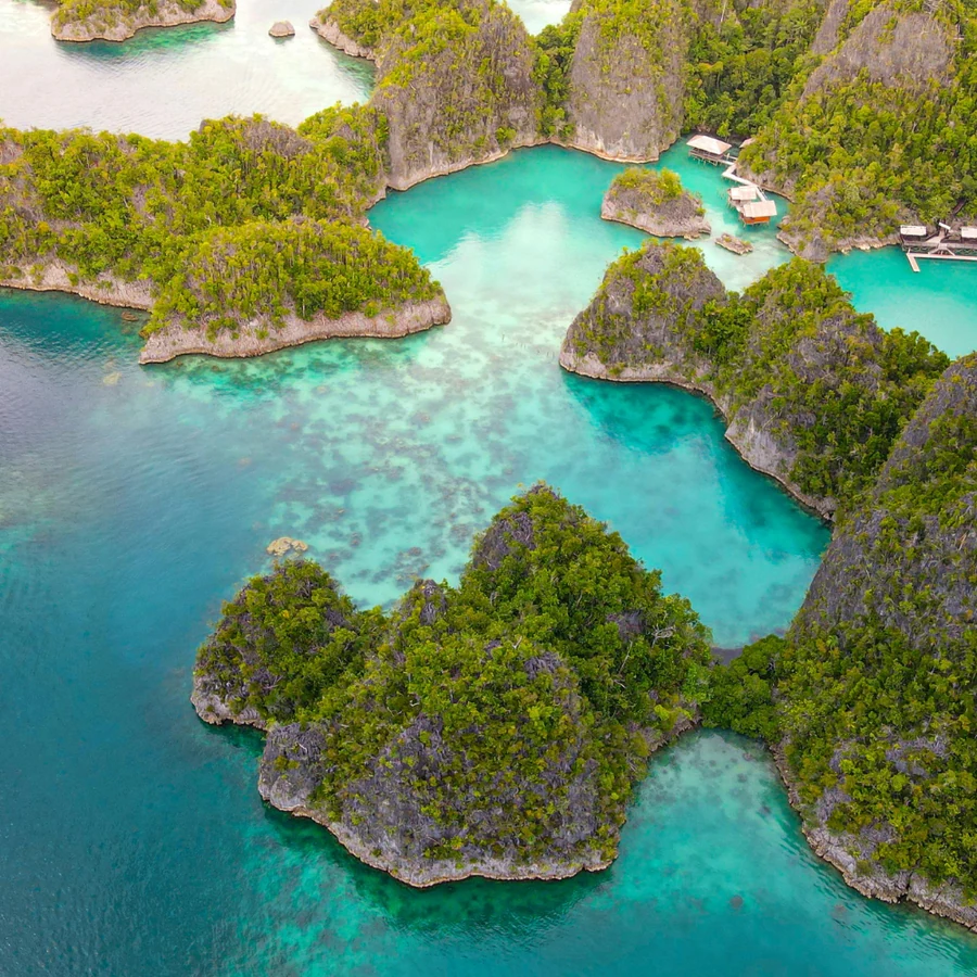 Raja Ampat, Cuttlefish diving