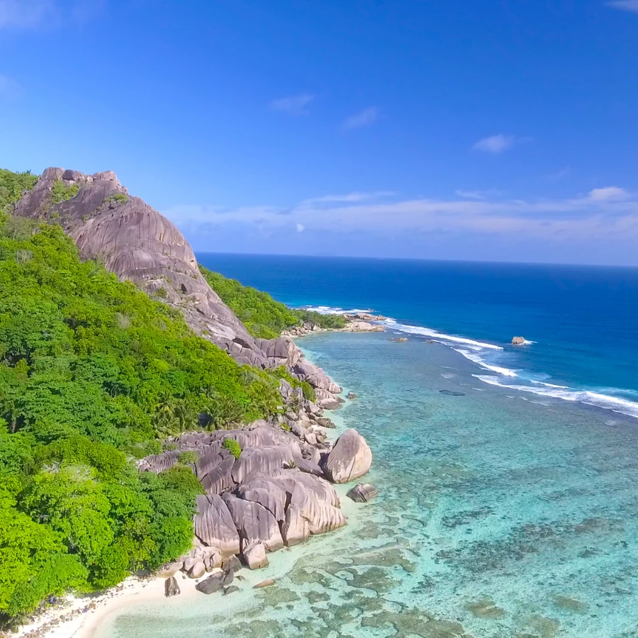 Seychelles, Moray Eels diving