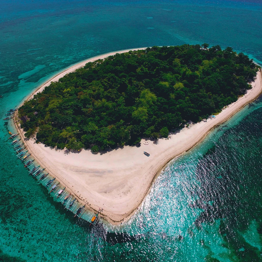 Sipadan Turtles & Sharks · Sipadan & Mabul, Malaysia