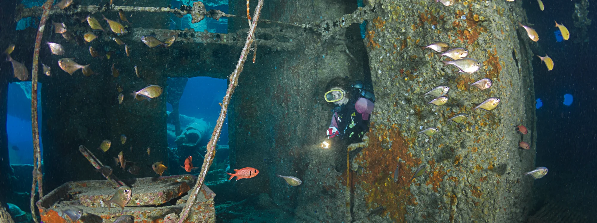 Red Sea Wrecks & Reef Sharks - Red Sea, Egypt
