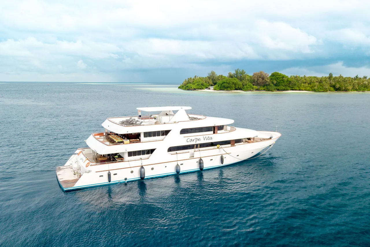 MV Carpe Vita - photo 1