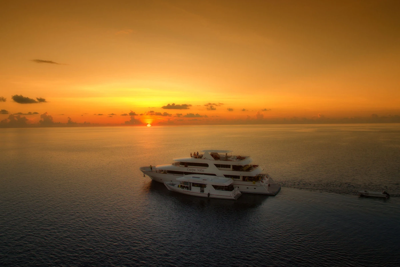 MV Carpe Vita - photo 3