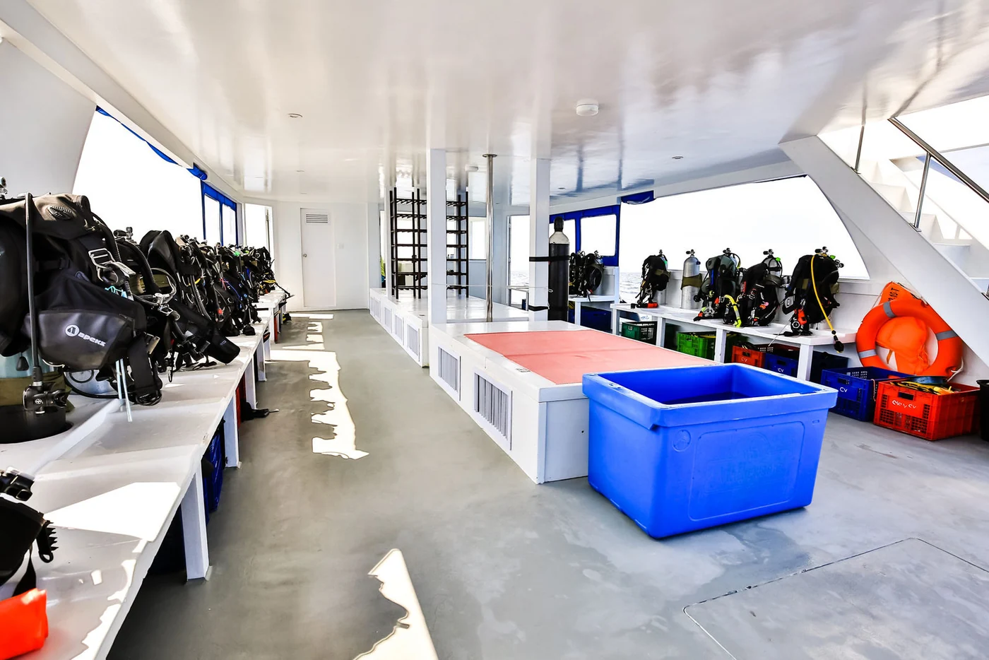 MV Carpe Vita - photo 5
